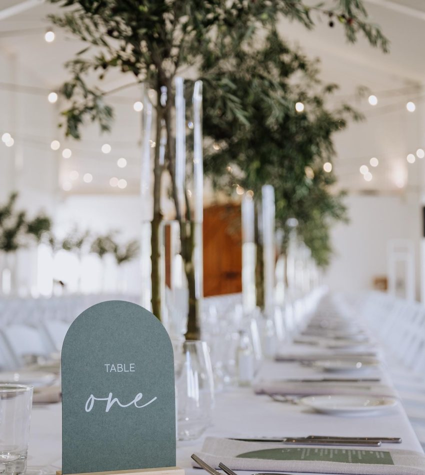 the modern approach wedding planner and stylist to the aisle adelaide 22
